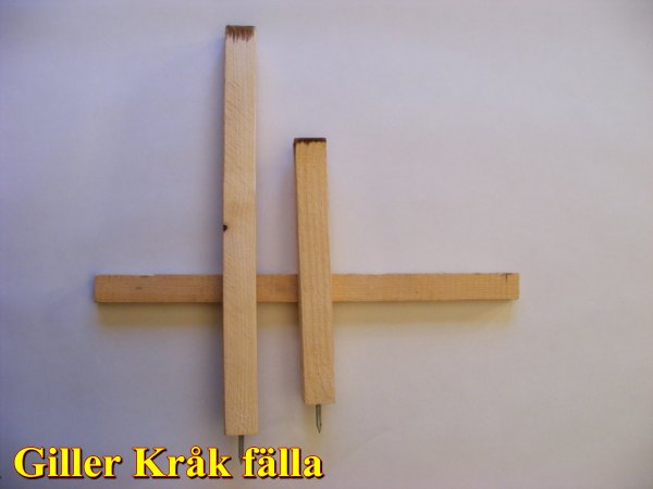 Lotinfälla