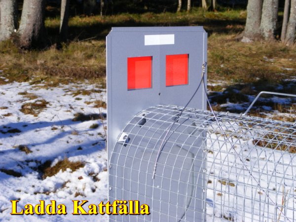 Lotinfälla